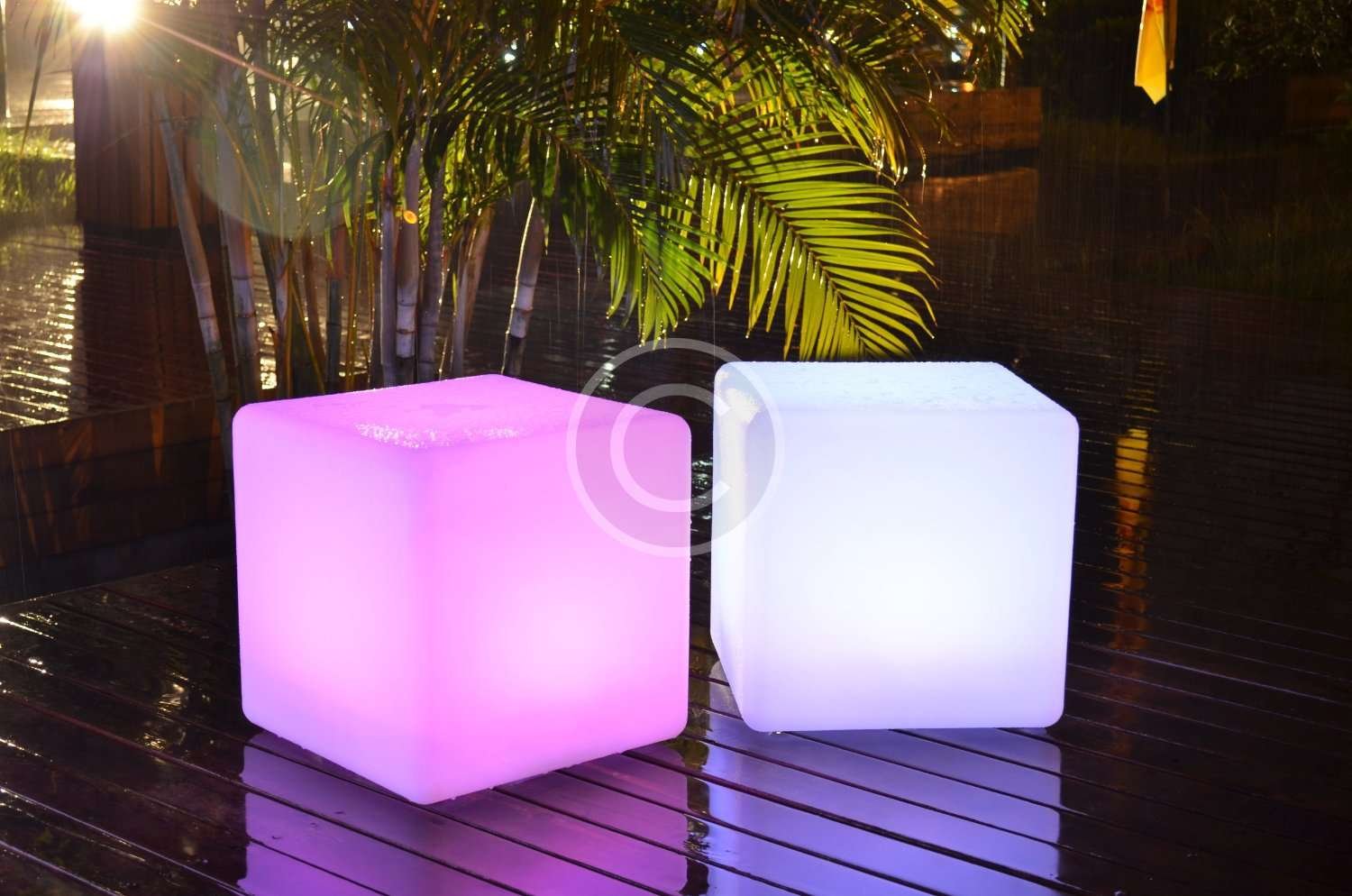 LED Sign Night Light